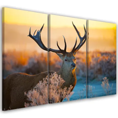 Produktbild von Triptychon auf leinwand tiere - orange 150x100 cm Feeby orange wandbild bereit zum aufhängen
