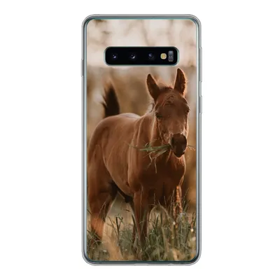 Produktbild von MuchoWow® Handyhülle Schutzhülle Hülle für Samsung Galaxy S10 Pferd - Sonne - Gras Silikon Softcase Handy Hülle - Handytasche