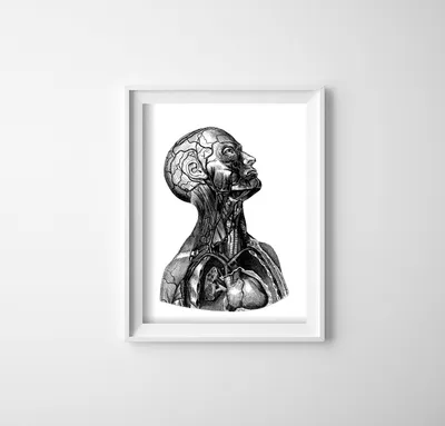 Produktbild von Poster - Canvas - Leinwand - 42 cm x 59,4 cm - Der Hals des Körpers