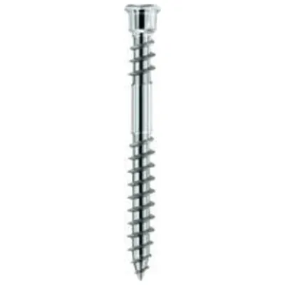 A single silver screw is shown against a white background.