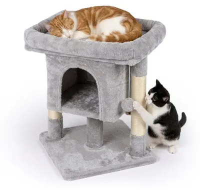 Image de Arbre à chat avec grotte et plateforme, gris clair, 60 cm