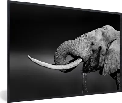 Produktbild von MuchoWow® MuchoWow® Gerahmtes Poster Elefant - Wasser - Schwarz - Weiß 30x20 cm - Poster mit zchwarzem Bilderrahmen - Kunstdruck - Bild-Poster