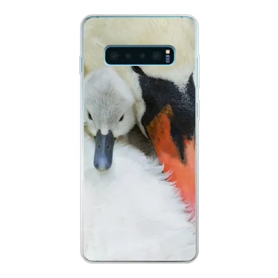 Produktbild von MuchoWow® Handyhülle Schutzhülle Hülle für Samsung Galaxy S10 Plus Schwan - Küken - Makro Silikon Softcase Handy Hülle - Schutzhülle