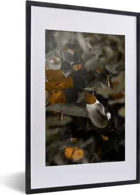 Produktbild von MuchoWow® MuchoWow® Gerahmtes Poster Vogel - Kolibri - Gold 40x60 cm - Poster mit zchwarzem Bilderrahmen - Poster in Rahmen