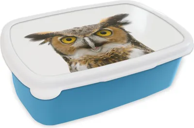 Produktbild von KitchenYeah® Lunchbox Brotzeit Brotdose 17x11 cm Eule - Vogel - Porträt Kinder Brotzeitdose - Lunch - Kunststoff  - Brotbüchse - Sandwichbox - Lunchbox für Kinder
