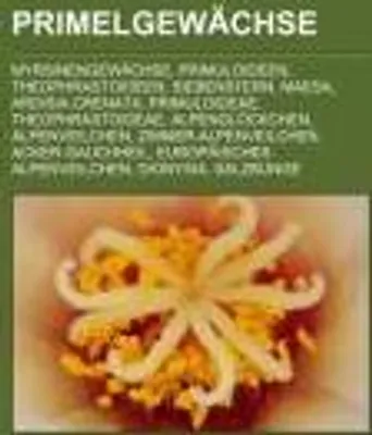 Produktbild von Primelgewächse