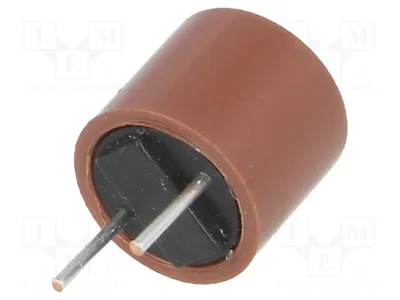 Image de 2 x Fusible : Protection par fusible, 500mA, 250VAC, à action retardée. Pas de montage : 5,08 mm. Référence : 887114. Fusibles