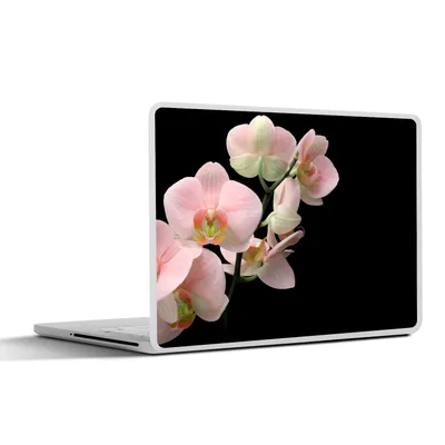 Produktbild von MuchoWow® Laptop Aufkleber Sticker Cover Orchidee - Blumen - Rosa - Stilleben - Flora 25x18 cm - Laptop-Deko