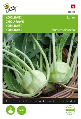Produktbild von Kohlrabi Lanro | Kohlrabisamen von Buzzy Seeds