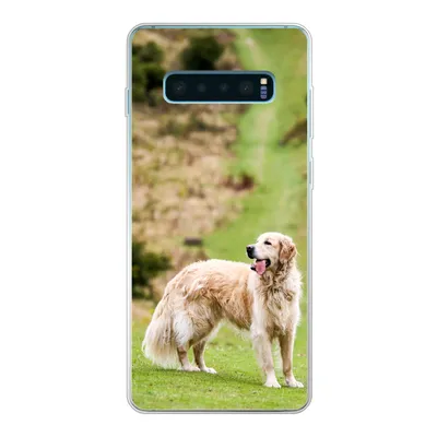 Produktbild von MuchoWow® Handyhülle Schutzhülle Hülle für Samsung Galaxy S10 Plus Schönes Bild eines Golden Retrievers Silikon Softcase Handy Hülle - Schutzhülle