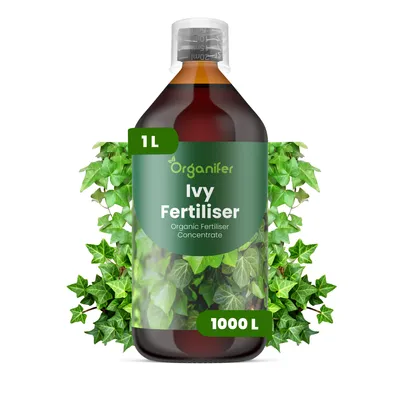 Obrázek produktu pro Brečtan Tekuté Hnojivo 1 L – 2-1-8 NPK – Pro Brečtan – Podporuje Zdravé Popínavé Rostliny, Silný Růst & Listy – Organifer