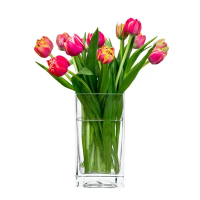 Produktbild von Blumenvase Dekovase Glasvase HOMLA