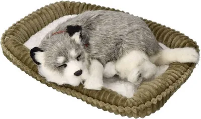 Produktbild von Perfect Petzzz 96132 Alaskan Husky