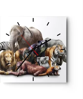 Produktbild von Wanduhr - Quadrat - Glasuhr - Tiere Koala Löwe Affe - 40x40cm - Schleichendes Uhrwerk - Lautlos - zum Aufhängen bereit - Dekoration Modern - Wanddekoration aus Glas - C3AC40x40-3166