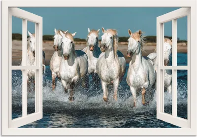 Produktbild von ARTland Wandbild Alu für Innen & Outdoor Fensterblick Pferde am Strand Größe: 70x50 cm