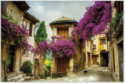 Produktbild von Wallario Wandbild Malerische Stadt in der Provence mit bunten Blumen, Größe: 61 x 91,50 cm, Poster mit weißem Aluminiumrahmen