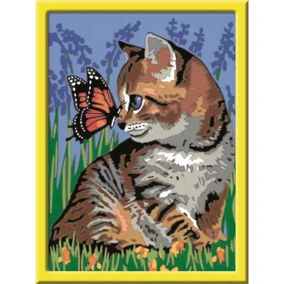 Produktbild von Katze mit Schmetterling. Malen nach Zahlen Serie D