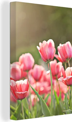 Produktbild von MuchoWow® - Leinwandbilder - Tulpen - Sonne - Frühling, Wandbild, Wanddeko Bilder Wohnzimmer, 80x120 cm