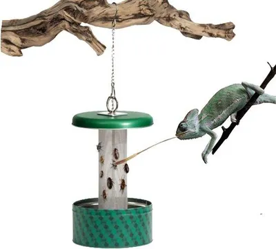 Productafbeelding van Reptielenvoer - Natuurlijke jachtsimulatie - Metalen klimstang - 5 bakken - Groen