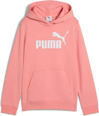 Produktbild von PUMA ESS No. 1 Logo Hoodie Teenager rosa 164
