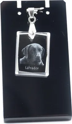 Image de Labrador retriever - Pendentif en cristal avec chien, collier avec photo, bijoux uniques d'Art-Dog