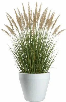 Zdjęcie produktu dla HowHomely | Doniczka - doniczka na kwiaty - biała - B55xH49 cm - doniczka zewnętrzna - donica - doniczka na rośliny