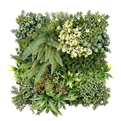 Image de Mur végétal Rhea Décoration murale élégante avec plantes vertes 50 x 50 cm Type C
