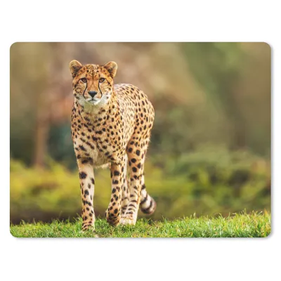 Produktbild von MuchoWow® Mauspad Mousepad Wildtiere - Gras - Leopard - Natur 23x19 cm - Mousepads - Maus Mat - Pad - Mausunterlage - Schreibtischunterlage - Mauspad