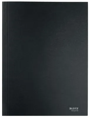 Obrázek produktu pro Leitz 39060095, Běžná složka, A4, Karton, Černá, Matný, 250 listy