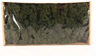Produktbild von INNA-Glas Dekoratives Moos SVEINBJÖRN, tannengrün, 500g - Echtes Isländisches Moos