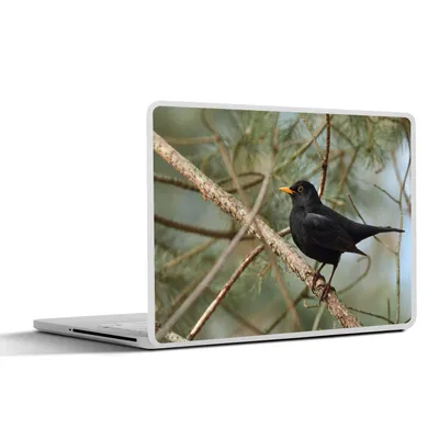Produktbild von MuchoWow® Laptop Aufkleber Sticker Cover Vogel - Amsel - Zweige - Tiere 25x18 cm - Laptop-Deko