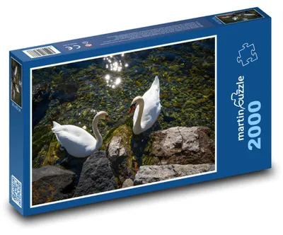 Zdjęcie produktu dla martinpuzzle - Puzzle 2000 - Łabędzie nad rzeką