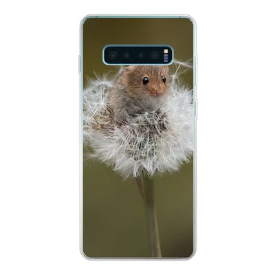 Produktbild von MuchoWow® Handyhülle Schutzhülle Hülle für Samsung Galaxy S10 Lite Maus - Jung - Blumen Silikon Softcase Handy Hülle - Schutz