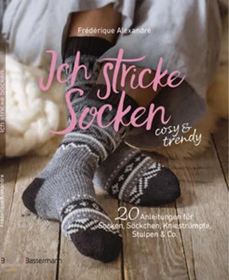 Image de Je tricote des chaussettes - cosy & trendy