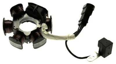 Produktbild von Lichtmaschine für Aprilia SR Mojito / Piaggio TPH Liberty Free NRG / Vespa LX ET2 50 (Piaggio Motor)