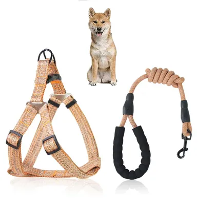 Productafbeelding van Hondentuig en Leash Set voor Comfortabel Wandelen