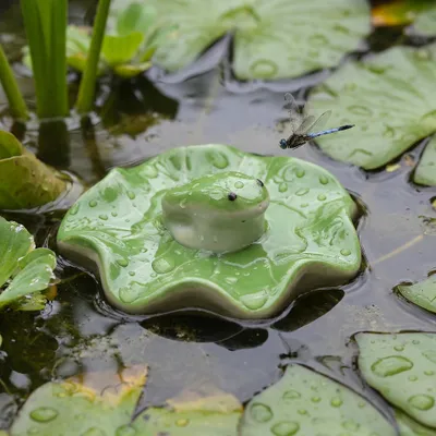Produktbild von Teichdeko Frosch - schwimmender Frosch für Teich und Wasserschale - Porzellan - D: 7,8cm