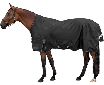 Produktbild von Waldhausen Outdoordecke Arctic High Neck Light