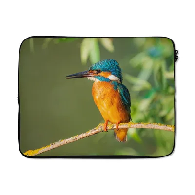 Produktbild von MuchoWow® Laptop Hülle 15 Zoll Vogel - Eisvogel - Zweig - Blätter - Moos Laptoptasche - Laptoptasche - Sleeve - Rundum-Schutz