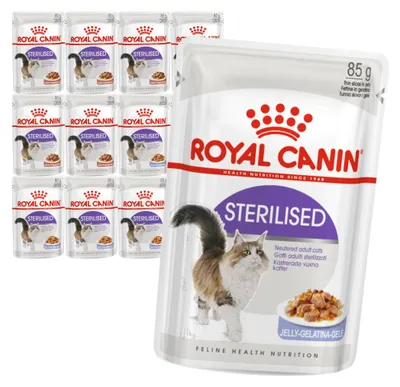 Zdjęcie produktu dla Royal Canin FHN Sterilised W Sosie i Galaretce 12x85g Mokra Karma Dla Kotów Sterylizowanych