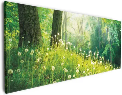 Produktbild von Wallario Premium Leinwandbild Pusteblumen im Wald mit einfallenden Sonnenstrahlen in Größe 60 x 150 cm