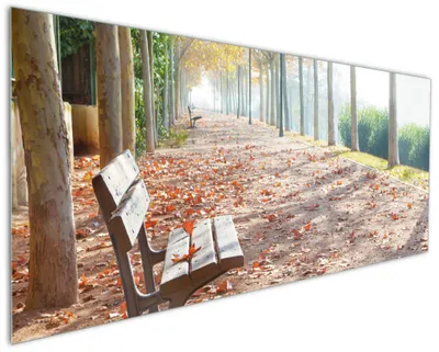 Produktbild von Wallario Küchenrückwand aus Glas, Größe: 125 x 50 cm, Motiv: Einsame Parkbank an einer Allee - Herbststimmung | Spritzschutz | abwischbar | pflegeleicht | in