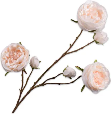 Produktbild von Silk-ka Kunstblume - Seidenblume Rosenzweig Pfirsich-Creme 101 cm