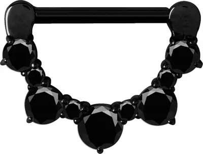 Produktbild von Karisma Edelstahl Brust Schwarzes Piercing Clicker Ring Zirkonia 1,6x12mm - Zirkonia Weiss