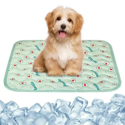 Produktbild von Kühlmatte für Hunde und Katzen, selbstkühlend, waschbar, atmungsaktiv, 50 x 40 cm