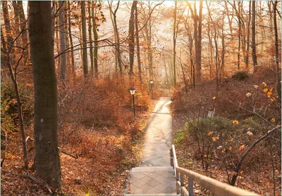 Produktbild von Wallario Fototapete Vliestapete, seidenmatte Oberfläche, einfache Verarbeitung, Größe 200 x 140 cm, Motiv Weg in den Sonnenuntergang