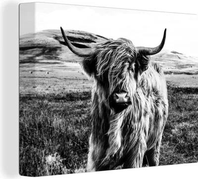 Produktbild von MuchoWow® - Leinwandbilder - Schwarz - Weiß - Schottischer Highlander - Gras, Wandbild, Wanddeko Bilder Wohnzimmer, 80x60 cm