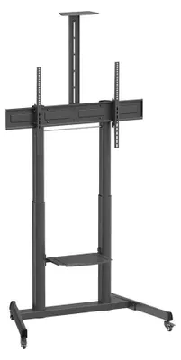 Image de Ewent EW1591, 2.54 m (100"), 200 x 200 mm, 1000 x 600 mm, -5 - 10°, Plastique, Acier, Noir