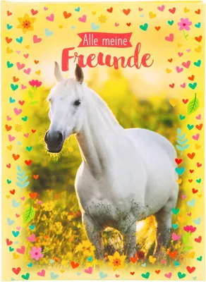 Produktbild von Goldbuch Freundebuch Chiara, Abbildung, Mehrfarbig, Gelb, A5, 44 Blätter, Kind