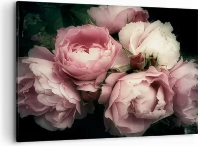 Produktbild von Bild auf Leinwand - Leinwandbild - Pfingstrose Blume - 100x70cm - Wand Bild - Wanddeko - Wandbilder - Leinwanddruck - Bilder - Kunstdruck - Wanddekoration - Leinwand bilder - Wandkunst - AA100x70-3930